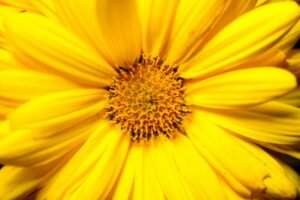 core statistics for identifiers