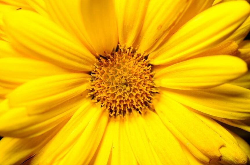 core statistics for identifiers