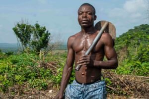 empower your digital growth