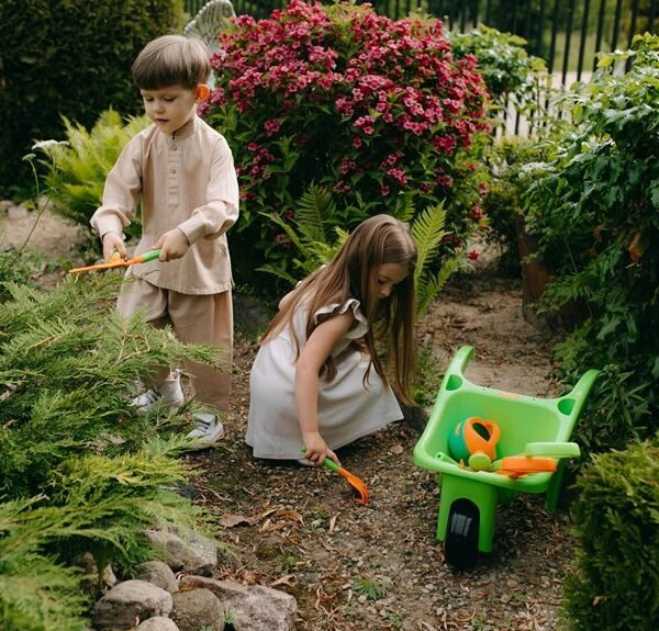 empower your digital growth